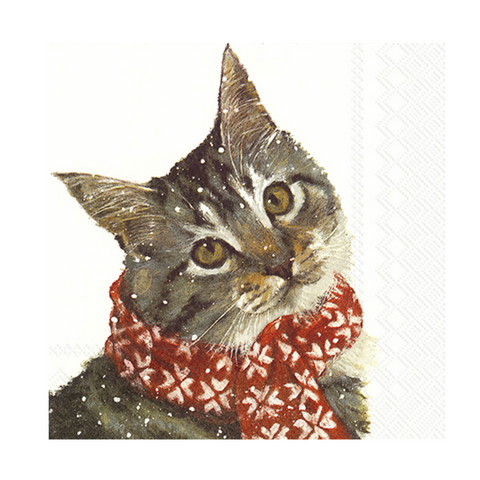 Paper Napkins Kitty